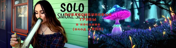 спиды Медвежьегорск