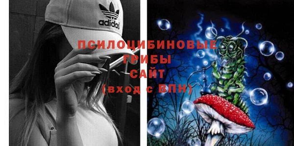 спиды Медвежьегорск